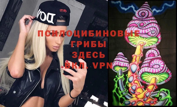 кокс Дмитриев