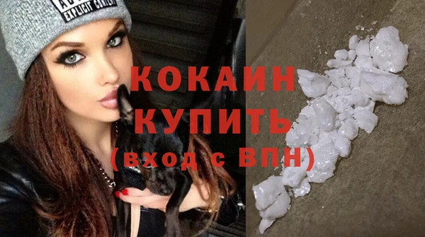 кокс Дмитриев