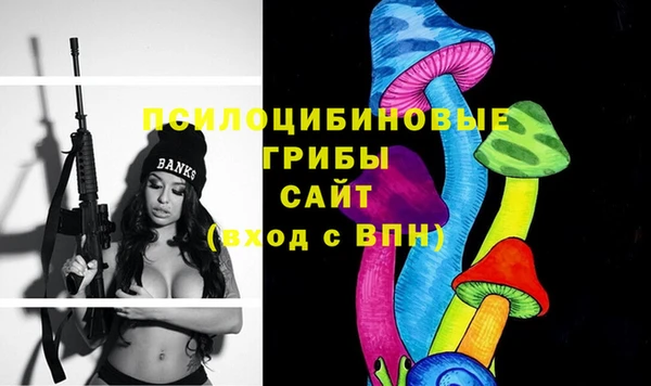 кокс Дмитриев